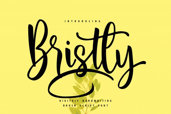 Discover Bristly: A Handwritten Font for Elegant Web Design