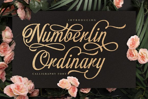 Discover Numberlin Ordinary: A Font for Elegant Editorial Design