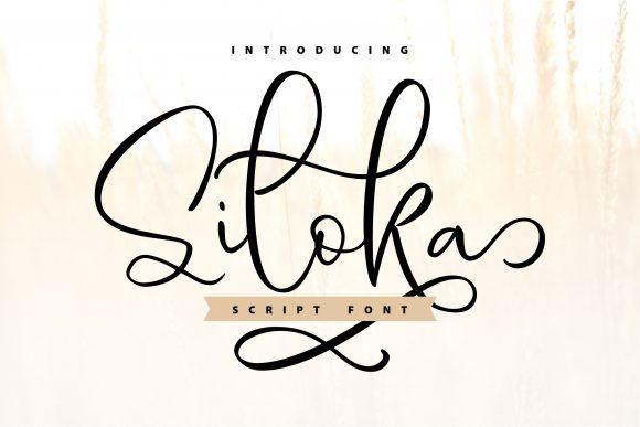 Elevate Your Editorial Design with Siloka Font