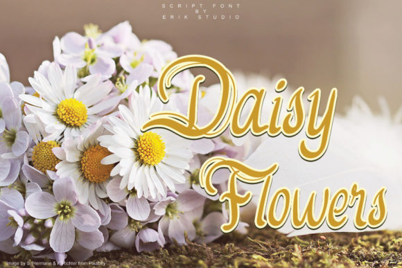 Enhance Your Campaign with Daisy Flowers Font